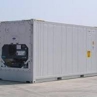 Container frigorífico usado a venda